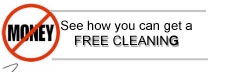Free Carpet Cleaning